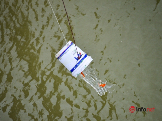 14 Nguoi Dan Ra Ho Tay Cau Long Bien Tha Ca Chep Tien Ong Tao