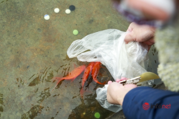 5 Nguoi Dan Ra Ho Tay Cau Long Bien Tha Ca Chep Tien Ong Tao