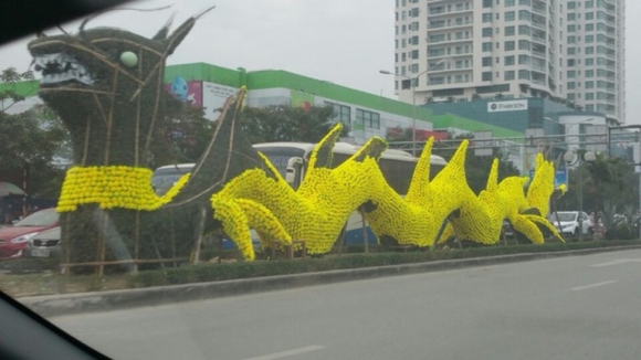 3 Trau Ngao Ngo Ho Lai Heo Quay Vi Sao Nam Nao Cung Cuoi Ra Nuoc Mat