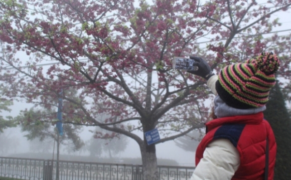 1 Bac Bo Sap Don Dot Ret Dam Nhat Nam Co Noi Duoi 3 Do C