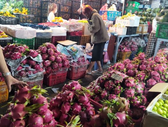 2 Rau Qua Thit Day Cho Gia Phai Chang Hoa Tang Gia 40