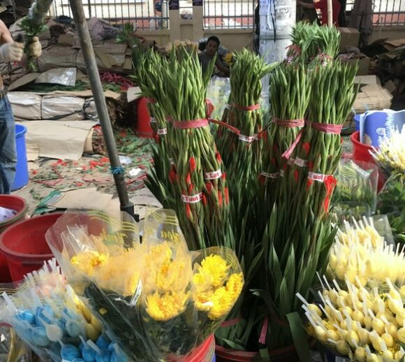 3 Rau Qua Thit Day Cho Gia Phai Chang Hoa Tang Gia 40