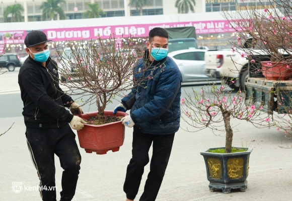 1 Ha Noi Tieu Thuong Giam Nua Gia Nhung Goc Dao Khung Ngay Can Tet Khach Van Ngo Lo
