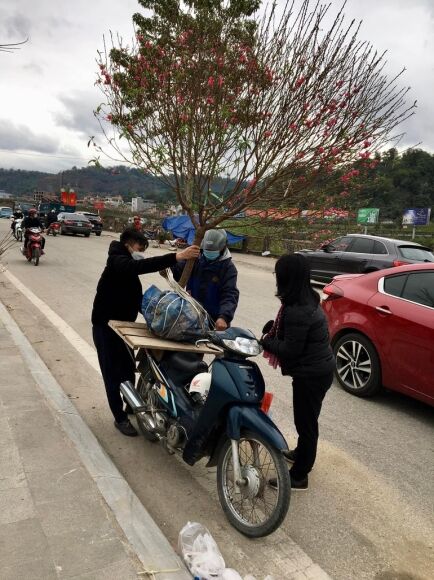 2 Cho Hoa Xuan Chay Lan Ho Diep Dao Quat Dai Ha Gia