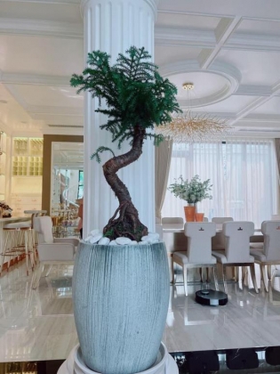 2 Le Quyen He Lo Ben Trong Biet Thu Dat Vang Trang Hoang Hoanh Trang To Am De Don Tet Voi Tinh Tre