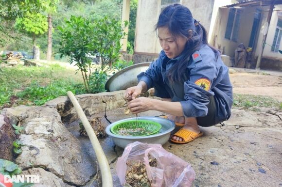 2 Nu Nhan Vien Giu Rung An Com Chan Nuoc Mam Ngam Ngui Trong Ngay Giap Tet