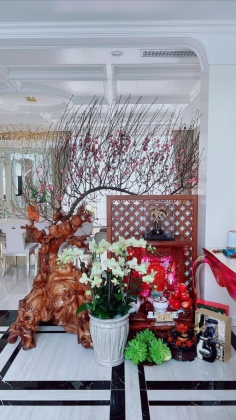 3 Le Quyen He Lo Ben Trong Biet Thu Dat Vang Trang Hoang Hoanh Trang To Am De Don Tet Voi Tinh Tre