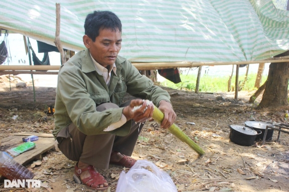 4 Nu Nhan Vien Giu Rung An Com Chan Nuoc Mam Ngam Ngui Trong Ngay Giap Tet
