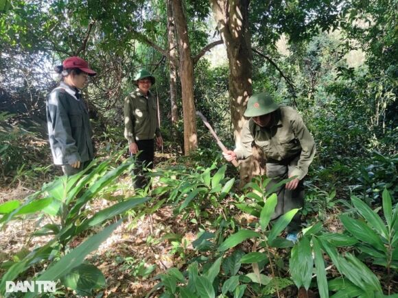 5 Nu Nhan Vien Giu Rung An Com Chan Nuoc Mam Ngam Ngui Trong Ngay Giap Tet