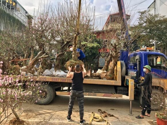 8 Cho Hoa Xuan Chay Lan Ho Diep Dao Quat Dai Ha Gia