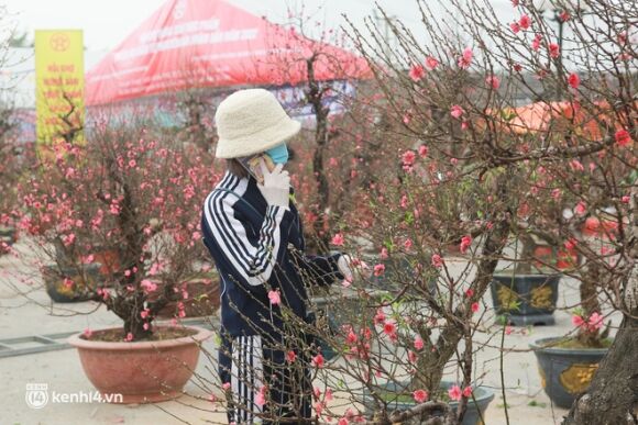 8 Ha Noi Tieu Thuong Giam Nua Gia Nhung Goc Dao Khung Ngay Can Tet Khach Van Ngo Lo