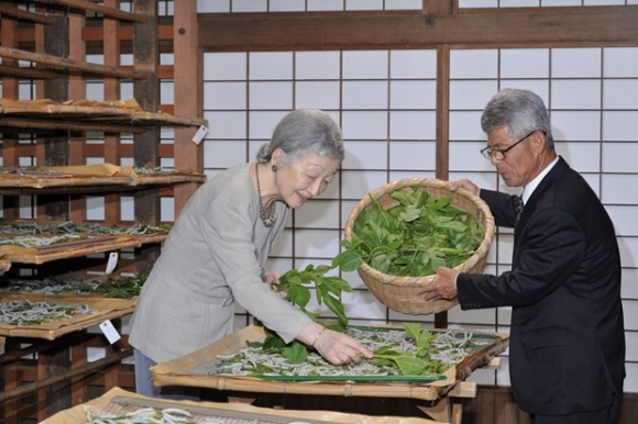 3 Nhung Hinh Anh Rat Dung Di Cua Nhat Hoang Akihito Va Hoang Hau
