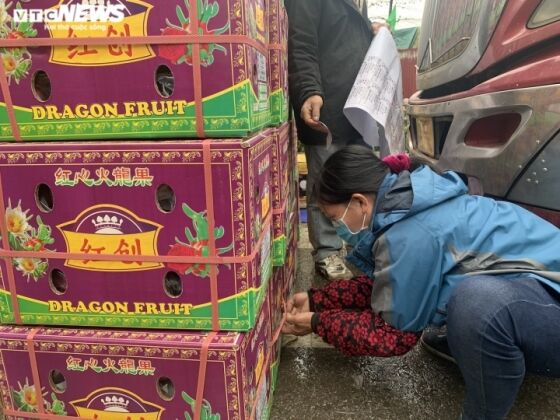 10 Nghe La Hai Ra Tien O Cua Khau Lang Son