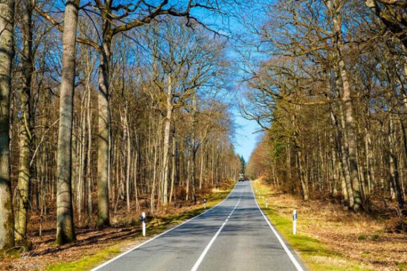 8 Nhung Con Duong Ngoai O Frankfurt  Nuoc Duc