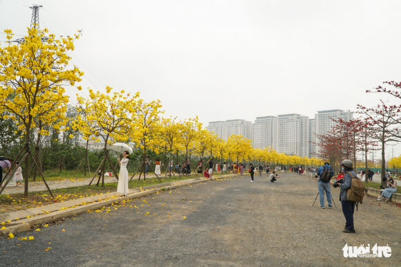 9 Nguoi Ha Noi Tap Nap Den Check In Duong Hoa Phong Linh Vang Ruc