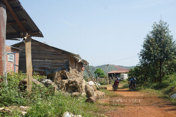 1 Dak Nong Nguyen Uy Vien Ban Thuong Vu Tinh Uy Bi Thu Hoi Hang Chuc Ha Dat Cap Trai Quy Dinh