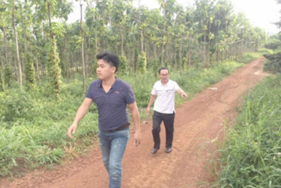 2 Dak Nong Nguyen Uy Vien Ban Thuong Vu Tinh Uy Bi Thu Hoi Hang Chuc Ha Dat Cap Trai Quy Dinh