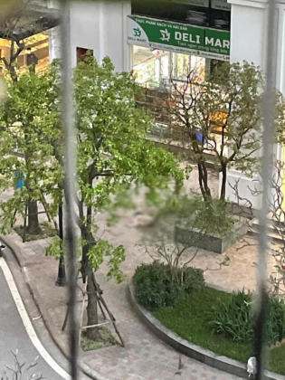 1 Be Gai O Ha Noi Roi Tu Tang 26 Chung Cu Cao Cap Tu Vong Thuong Tam Nghi Do Ap Luc Hoc Hanh