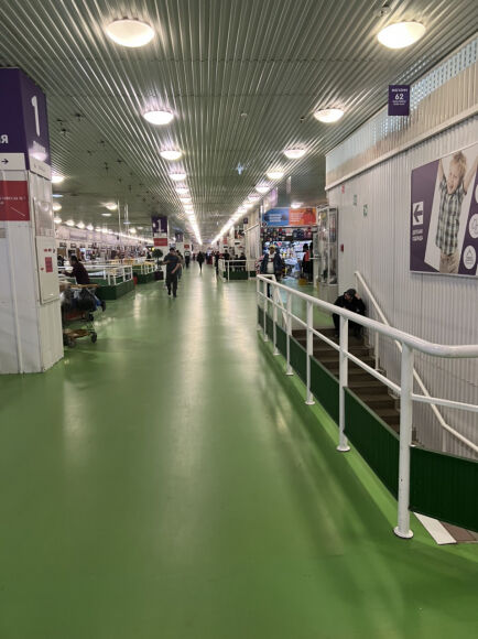 2 Nguoi Viet O Nga Oan Minh Tai San Boc Hoi Nhung Van Thuong Dong Bao O Ukraine