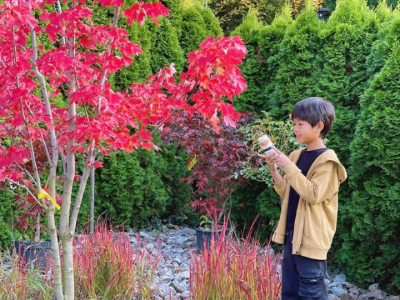 7 Khu Vuon 300m2 Ngap Sac Hoa Cua Vo Chong Thac Si Viet O Duc