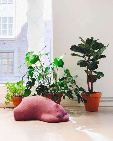 5 Trang Tri Phong Ngu Am Cung Cho Cac Cap Doi Moi Cuoi