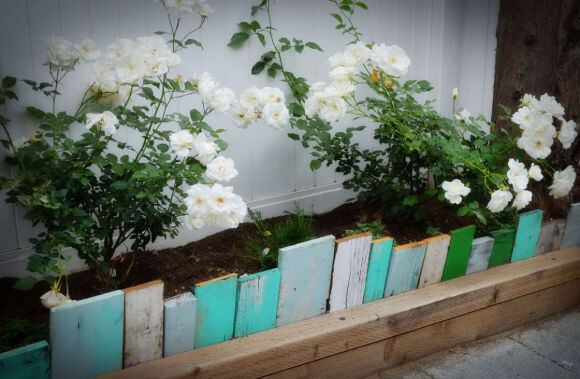 1 Tuyet Chieu Bien San Vuon Tro Nen An Tuong