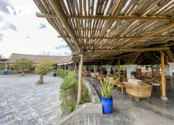 11 Check In Phu Yen Voi Nha Hang Tre Lon Nhat Viet Nam