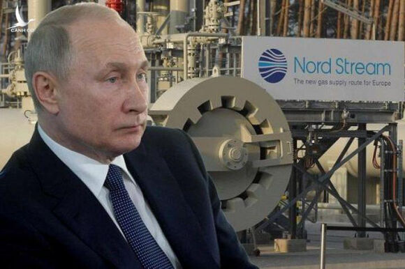 1 Eu Keu Goi Dan Lam Viec Tai Nha Chinh La Giup Danh Tra Putin