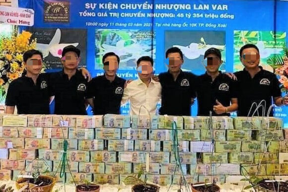 3 Lan Dot Bien Het Thoi Tien Ty Tut Doc Re Hon Rau Muong