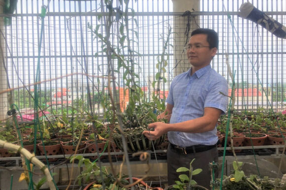 4 Lan Dot Bien Het Thoi Tien Ty Tut Doc Re Hon Rau Muong