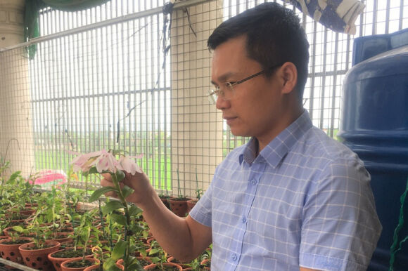 6 Lan Dot Bien Het Thoi Tien Ty Tut Doc Re Hon Rau Muong