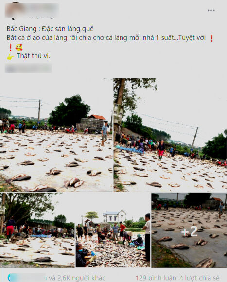 1 Phien Cho La Toan Ca Dan Xep Hang Chia Phan Chang Can Can O Bac Giang