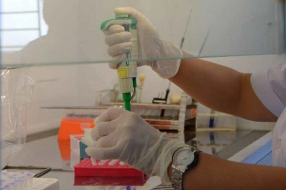 1 Hon 50 Goi Thau Mua Sam Vat Tu Kit Xet Nghiem Co Sai Pham