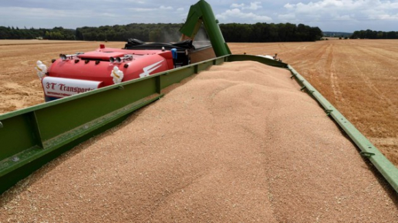 1 Quan Nga Tranh Thu Danh Cap Vai Tram Ngan Tan Ngu Coc O Vung Chiem Dong