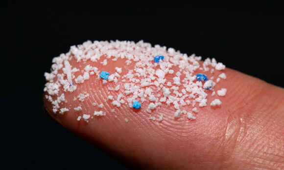 1 Tim Thay Hat Vi Nhua Trong Ca Kho O Nhieu Nuoc Chau A