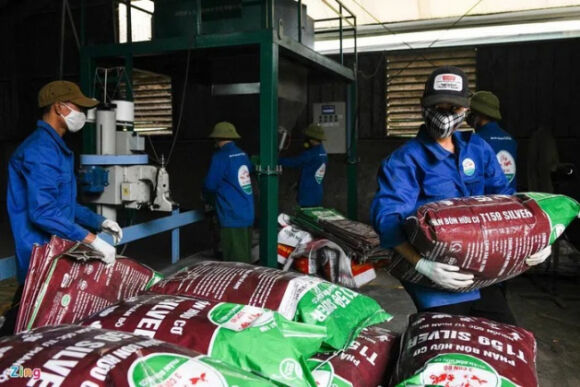 1 Gia Phan Bon Tang Cao Nhat Trong 50 Nam