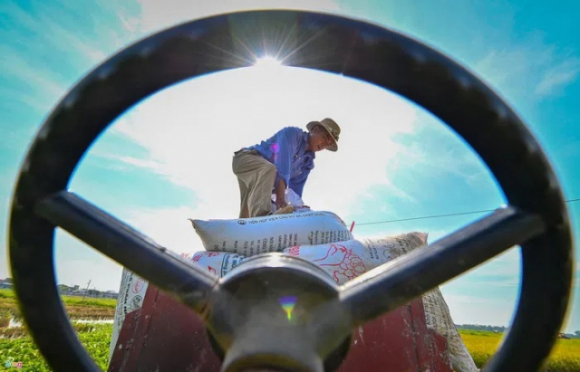 2 Gia Phan Bon Tang Cao Nhat Trong 50 Nam