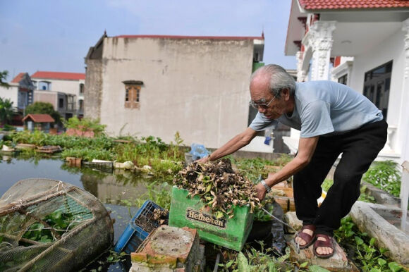 5 Cu Ong 87 Tuoi Chiu Choi Mang Ca Cai Ao Dat Tren Mai Nha Roi Trong Rau Nuoi Ca Nhieu Nguoi Noi Toi Lieu Linh