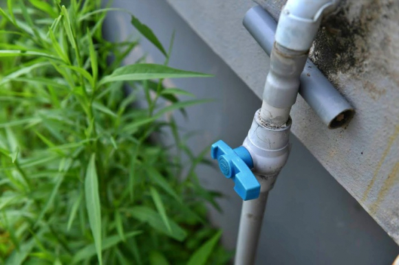 8 Cu Ong 87 Tuoi Chiu Choi Mang Ca Cai Ao Dat Tren Mai Nha Roi Trong Rau Nuoi Ca Nhieu Nguoi Noi Toi Lieu Linh