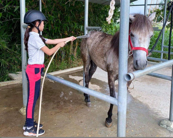 3 Nguoi Ha Noi Ru Nhau Hoc Cuoi Ngua Theo Phong Cach Chau Au
