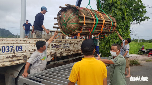 2 Can Canh Cap Banh Tet 36 Tan Dang Cung Ba Chua Xu Nui Sam