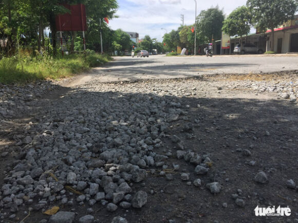 3 Chi Chit O Voi O Ga Tren Tuyen Duong Dan Xuong Khu Du Lich Bien Loc Ha