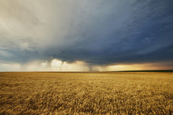 1 Chien Tranh Lua Mi Toan Cau Sap Dien Ra