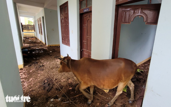 1 Tru So Huyen Bo Hoang Rong Rai Nhot Bo Suong Lam