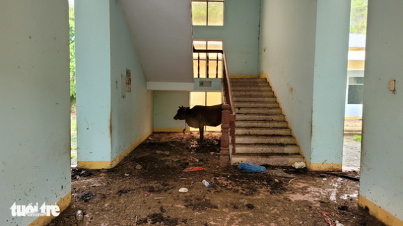 3 Tru So Huyen Bo Hoang Rong Rai Nhot Bo Suong Lam