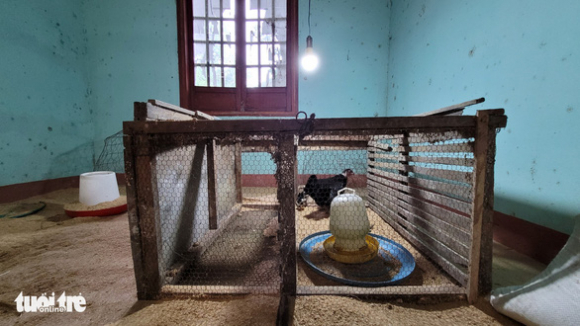 4 Tru So Huyen Bo Hoang Rong Rai Nhot Bo Suong Lam