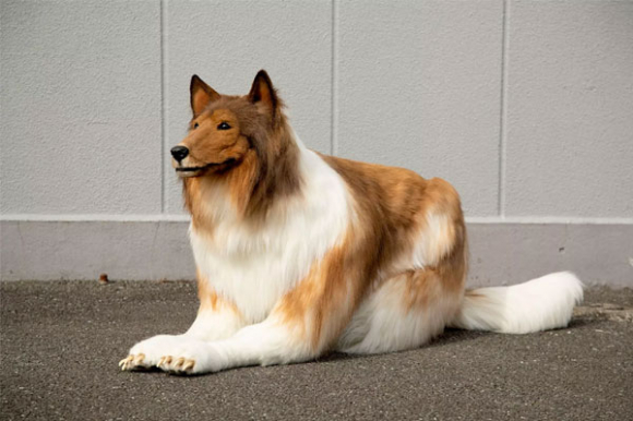 Người đàn ông Nhật chi hơn 300 triệu đồng hóa trang làm chó