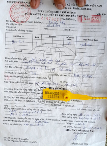 3 Lam Gia Giay Kiem Dich De Chuyen Lo Heo Thit Tu Dong Nai Ve Soc Trang