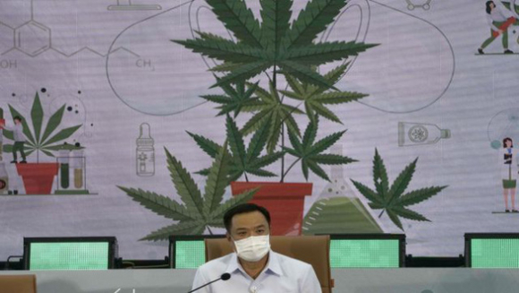 1 Thai Lan Cho Phep Dan Trong Can Sa Tai Nha Phong Thich Tu Nhan Bi Bat Vi Hut Can Sa