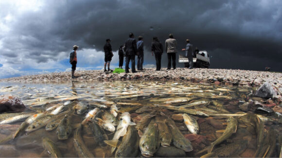 4 Ho Nuoc Chua Ca Tram Nghin Tan Ca Nhung Khong Ai Dam Bat Dam An